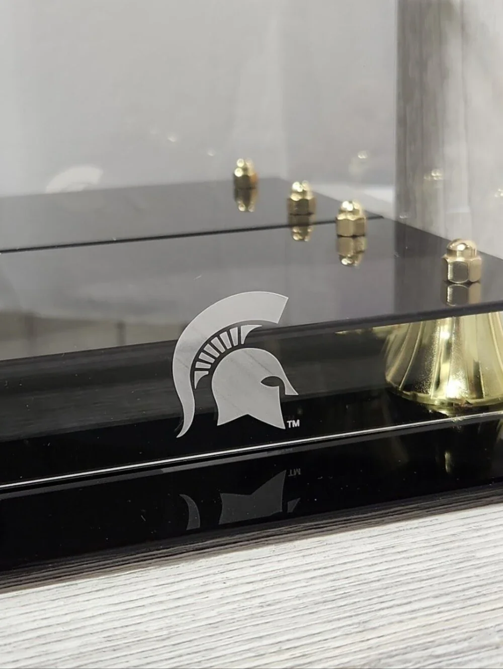 Fanatics michigan state